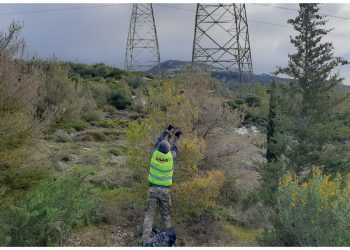 Ο ΣΠΑΠ ξεκίνησε δράσεις για την καταπολέμηση της κάμπιας