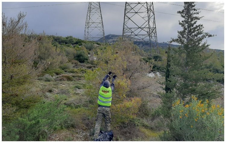 Ο ΣΠΑΠ ξεκίνησε δράσεις για την καταπολέμηση της κάμπιας