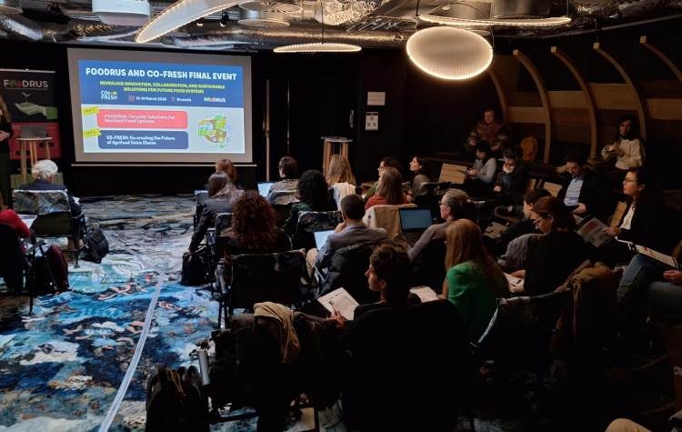 Δήμος Χαλανδρίου: Ευρωπαϊκό ενδιαφέρον για το πρόγραμμα FoodRUs