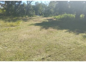 Συνεχίζονται με εντατικό ρυθμό οι καθαρισμοί των αστικών αλσυλλίων