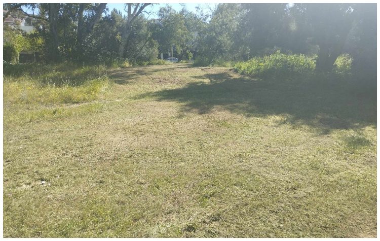 Συνεχίζονται με εντατικό ρυθμό οι καθαρισμοί των αστικών αλσυλλίων