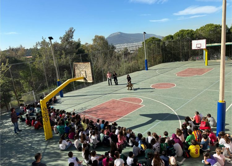 Μια σειρά από δράσεις για την Παγκόσμια Ημέρα Αδέσποτων Ζώων υλοποιεί ο Δήμος
