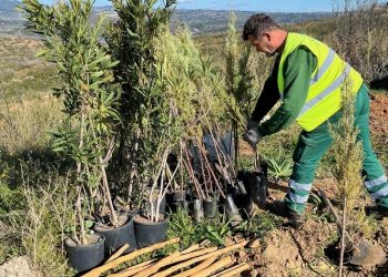 Περιφέρεια Αττικής: Πάνω απο 5,5 εκατ. ευρώ σε 11 δομές υποστήριξης κακοποιημένων γυναικών