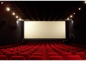 Βλέπουν οι αστυνομικοί ταινίες αστυνομικές;