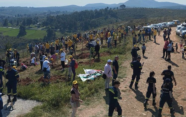 Πρασίνισε η «Αχλαδούλα»: Εθελοντική δενδροφύτευση στον Άγιο Στέφανο