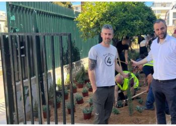 Πρασινίζουν οι σχολικές αυλές του Δήμου