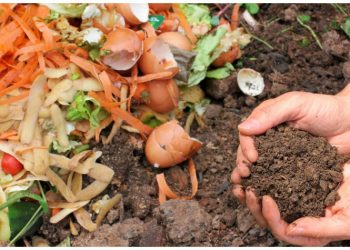 Στο 2ο Γυμνάσιο συνεχίζεται το πρόγραμμα της επιτόπιας κομποστοποίησης στα σχολεία του Δήμου