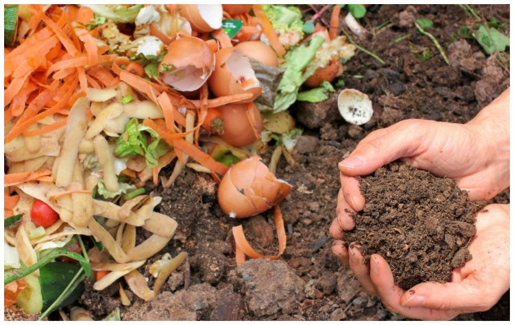 Στο 2ο Γυμνάσιο συνεχίζεται το πρόγραμμα της επιτόπιας κομποστοποίησης στα σχολεία του Δήμου