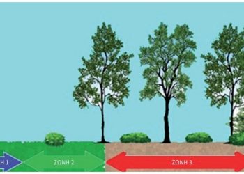 «Η ΠΕΝΤΕΛΗ ΜΑΣ» : Την αναστολή εφαρμογής του Κανονισμού Πυροπροστασίας ζητά ο Περιβαλλοντικός Σύλλογος
