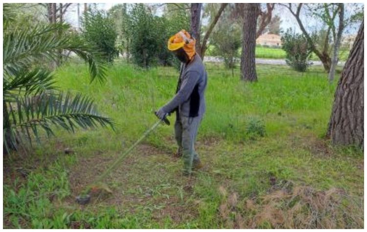 Ισχυρή σύσταση του Δήμου Ωρωπού στους πολίτες για άμεσο καθαρισμό των ιδιόκτητων χώρων