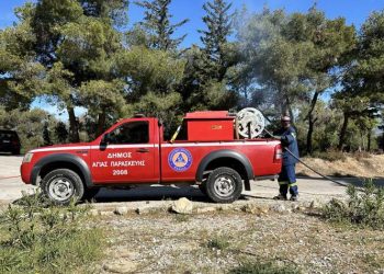 Πράσινο φως στο σχέδιο «Ιόλαος 2» του Δήμου για τις πυρκαγιές