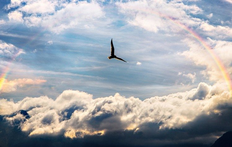 Μόνο με το έμπρακτο «ΟΧΙ» μας, τιμάται η μνήμη συναγωνιστών