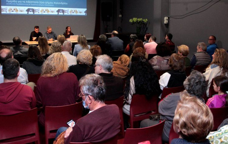 Ζώα συντροφιάς: Ο σχεδιασμός του Δήμου και η νέα νομοθεσία