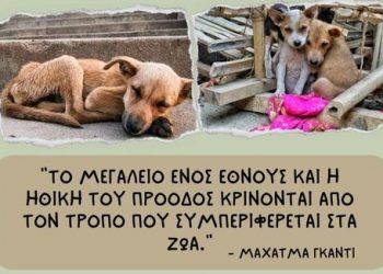 Δράσεις για την Σχολική Ημέρα Φιλοζωίας στη Νέα Φιλαδέλφεια