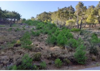 Ψηφιακός «μπαμπούλας» στην υπηρεσία της πυροπροστασίας