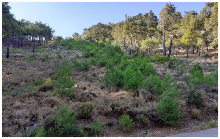 Ψηφιακός «μπαμπούλας» στην υπηρεσία της πυροπροστασίας