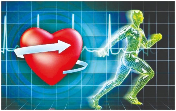 Νίκη Αμαρουσίου: «Επενδύει» στην εξειδικευμένη φυσική κατάσταση των αθλητών