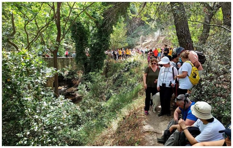 Εκατοντάδες πεζοπόροι συμμετείχαν στην 7η Διάσχιση Ρεματιάς