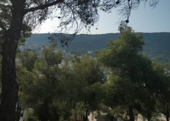 Σύλλογος Κατοίκων Τσακού: «Ο Λόφος και τα μάτια μας»