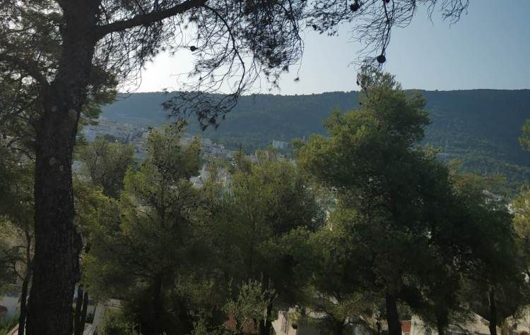 Σύλλογος Κατοίκων Τσακού: «Ο Λόφος και τα μάτια μας»