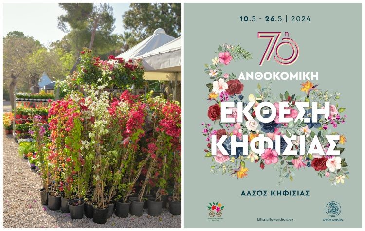 70ή Ανθοκομική Έκθεση Κηφισιάς: Ανοίγει τις πύλες του ο θεσμός - ορόσημο της πόλης