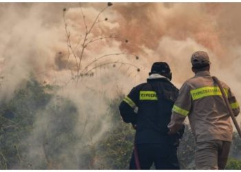 Το «πράσινο φως» στον «ΙΟΛΑΟ 2» άναψε το Δημοτικό Συμβούλιο