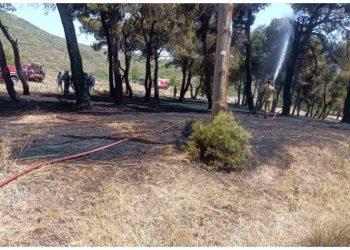  Άμεση η επέμβαση της Πολιτικής Προστασίας του Δήμου σε πυρκαγιά  στη  Νταού