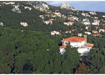 Eνημέρωση για τους δασικούς χάρτες