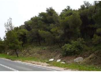 Ξεκίνησαν οι βάρδιες πυροφύλαξης στο δάσος του Αγίου Θεοκλήτου στα Άνω Βριλήσσια