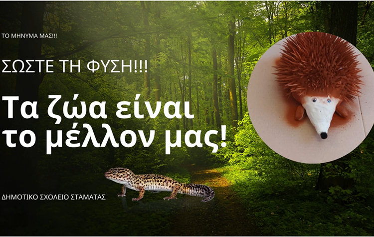 Πρωτιά για το Δημοτικό Σχολείο Σταμάτας σε πανελλήνιο διαγωνισμό φιλοζωίας