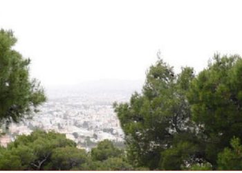 Σώμα Εθελοντών: Ξεκινούν βάρδιες πυροφύλαξης στο περιαστικό δάσος Αγίου Θεοκλήτου