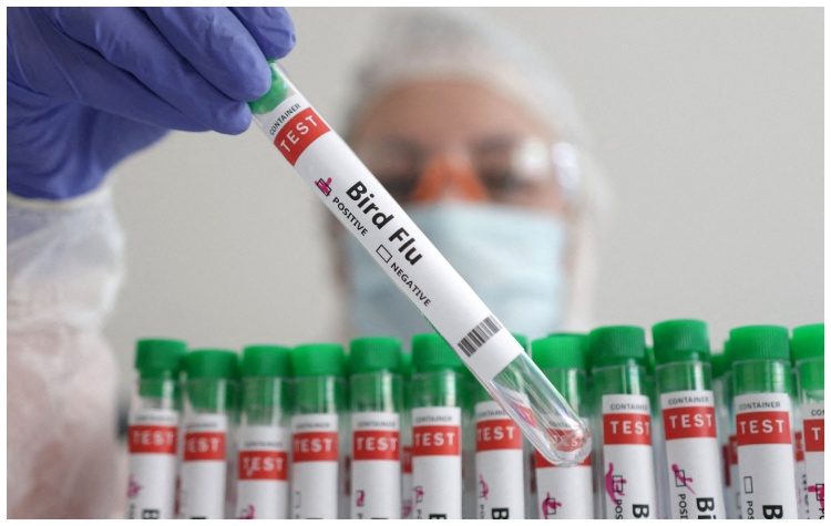 Πρώτος θάνατος ανθρώπου παγκοσμίως εξαιτίας της γρίπης των πτηνών H5N2