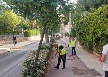 «Πρασίνισε» ο ποδηλατόδρομος της Αγίου Αντωνίου 