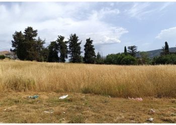 ΥΠΕΣ: Δίνει 1.330.000 ευρώ σε Δήμους για πυροπροστασία