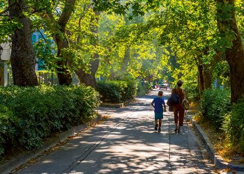 «Γνωρίζοντας τις Δενδροστοιχίες της Κηφισιάς» την Τετάρτη 5 Ιουνίου