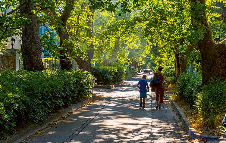 «Γνωρίζοντας τις Δενδροστοιχίες της Κηφισιάς» την Τετάρτη 5 Ιουνίου
