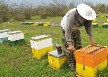 Ν. Ιωνία: Κλείνει το Άλσος Βεΐκου τις ημέρες υψηλού κινδύνου για πυρκαγιά