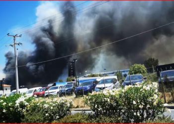 Φωτιά στην Λ. Βάρης – Κορωπίου: Συνεχίζεται η μάχη της Πυροσβεστικής - Ζημιές σε σπίτια και επιχειρήσεις