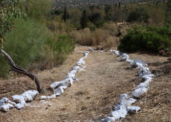 Οικονομική «ένεση» στον Δήμο για ζώνες πυροπροστασίας