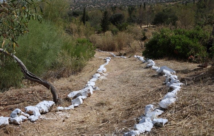 Οικονομική «ένεση» στον Δήμο για ζώνες πυροπροστασίας