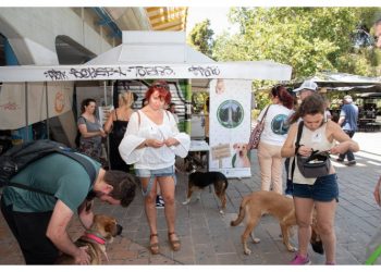 Άλλη μια «Γιορτή Υιοθεσίας» αδέσποτων στο Μαρούσι με υποστήριξη του Δήμου