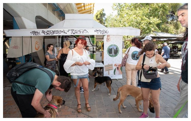 Άλλη μια «Γιορτή Υιοθεσίας» αδέσποτων στο Μαρούσι με υποστήριξη του Δήμου