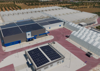 Η Tikun Olam Ελλάδος μειώνει το περιβαλλοντικό της αποτύπωμα