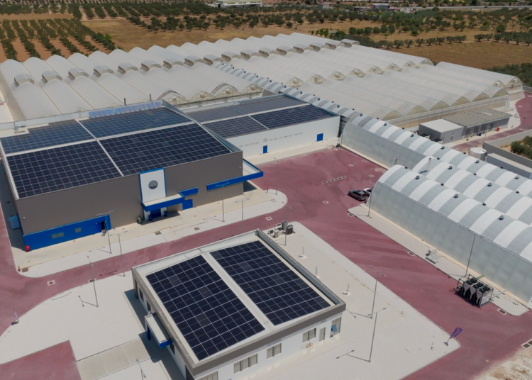 Η Tikun Olam Ελλάδος μειώνει το περιβαλλοντικό της αποτύπωμα