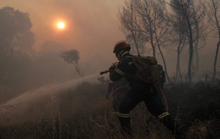 Φωτιά στη Σταμάτα: Οι ενέργειες, η κατάσβεση, τα μέτρα προστασίας και το «ευχαριστώ» της Διοίκησης
