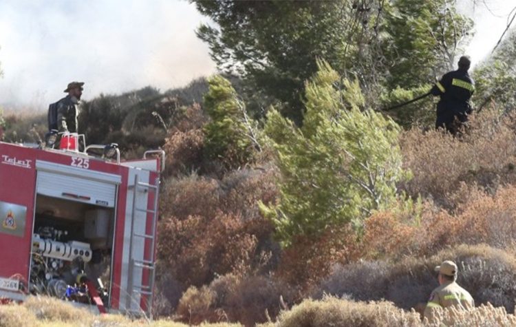 Δημοτική Αρχή: «Οι 9 ενέργειές μας κατά τη διάρκεια της πυρκαγιάς στη Σταμάτα»