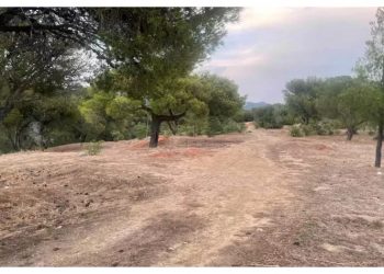 Ολοκληρώθηκαν οι καθαρισμοί στους κοινόχρηστους χώρους