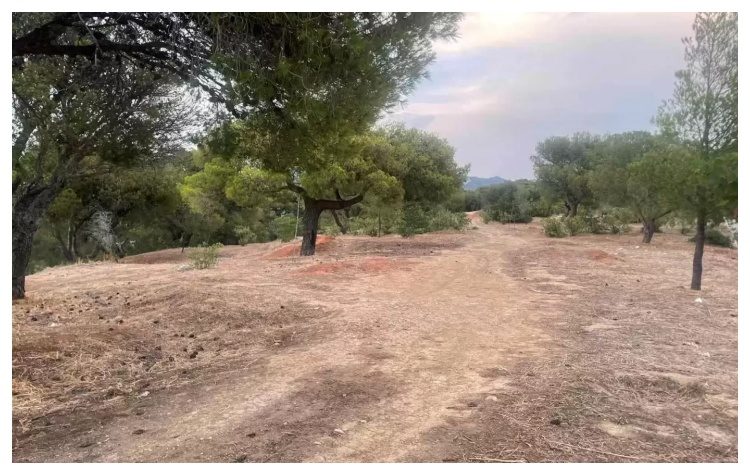 Ολοκληρώθηκαν οι καθαρισμοί στους κοινόχρηστους χώρους