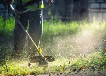 Παράταση δόθηκε στην υποβολή δηλώσεων καθαρισμού οικοπέδων