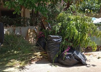 Προσανάμματα… εν αναμονή